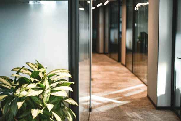 Mersin Avukat ve Mersin Hukuk Bürosu Hizmetleri